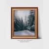 Artistry Grey Gold Toned Fog Norwegian Forest Framed Canvas Wall Prints Set of 1 Multicolor Matte