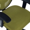 Aaeroa Low Back Ergonomic Chair in Pearl Green Colour