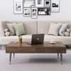 Hexa Engineered Wood Coffee Table With 2 Drawers In Flower Wenge