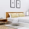 Hexa Engineered Wood Modern King Bed With Headboard Without Storage In Frosty White And Giant Wood