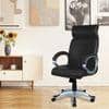 Wiwneags High Back Executive Chair in Black Colour