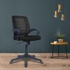 Diicea Mid Back Ergonomic Chair in Black Colour
