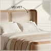 Valerio Duo-Panel Luxe Queen Size Bed in Off- White colour Velvet with Oak wood Frame
