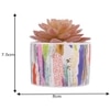 Sucullent Artificial Plant With Vertical Multicolored Stripes Along With Pot