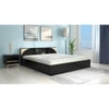 Vida King Bed Wenge