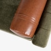 Solace Solid Wood Day Bed with Arm in Green Colour