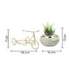 Aloe Vera Plant In Ceramic Pot On A Beautiful Cycle Cart