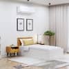 Hexa Engineered Wood Modern Single Bed With Headboard With Storage In Frosty White And Giant Wood