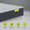 Dreamsway Pocket Spring Mattress 8 inch King Size Mattress (72 x 72 in, 8 Inches)