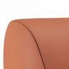 Niyo Lounge Chair in Saddle Tan Colour