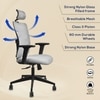 Ignis Grey Ergonomic Study Chair