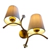 Devansh Metal Electric Wall Light in Gold Colour with Grey Shade Count of 2 Lights
