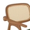 Aubrey Solid Wood Accent Armchair In Amber Walnut Finish with Moss Green Colour