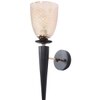 Eliante Mashal Wall Lights Mild Steel & Glass Material Brown & Champaign Finish