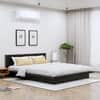 Hexa Engineered Wood Modern Queen Bed With Headboard Without Storage In Flower Wenge