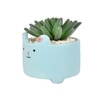Petite Greens With Cute Cartoon Planter