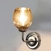 Devansh Steel Electric Wall Light in Steel Colour with Lavender Shade Count of 1 Light