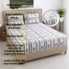 White And Coffee Shade Foral400 Tc Cotton  Fitted Queen Size Bedsheet With 2 Pillow Covers