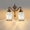 Devansh Metal Electric Wall Light in Multi Colour with Multi Shade Count of 2 Lights