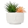 Artificial Succelent Arrangement With White Planter