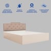 Prajna Engineered Wood Queen  Size Bed With Hydraulic Storage (Melamine Finish, White Colour)
