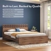 Macy Engineered Wood Queen Size Non Storage Bed In Classic Walnut Finish