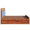 Yashvi Sheesham Solid Wood Queen Size Drawer Storage Bed In Honey Oak Finish