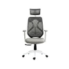 Lukano High Back Ergonomic Office Chair in Grey Colour