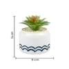 Pristine And Awe-Struck Indoor Succulent Plant With White Ceramic Pot