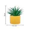 Highly Attractive Aloe Vera Plant With A Designer Ceramic Pot