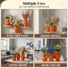 Vibrant Tangerine Ribbed Bubble Vases