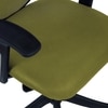 Odrione Low Back Ergonomic Chair in Pearl Green Colour