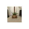 Elementary Beige Jute Floor Lamp with Beige Jute Base
