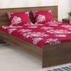 Sophia Bedsheets- Single