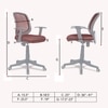 Xxeana Low Back Ergonomic Chair in Brown Colour