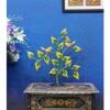 Desert Art Metal Handpainted Yellow Tree Showpiece