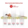 Twin Plus Latexo Dual Comfort Memory Foam Mattress (75 x 36 in, 6 Inches)