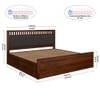 Vrinda Solid Wood Queen  Size Bed With Hydraulic Storage (Honey Oak Finish)