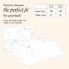 Stoa Paris Super King Size 100% Cotton Bedsheet with 2 Pillow Covers  Size Blush Pink, Deep Indigo