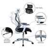 Wiweangs High Back Ergonomic Chair in Black Colour