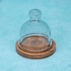 Ireka Homes Nibble Nest Acacia Wood Cake Stand with Glass Dome