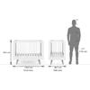 Koster Solid Wood Crib in White Colour