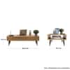 Hexa Engineered Wood Coffee Table With Metal Legs In Giant Wood