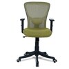 Peacifice Mid Back Ergonomic Chair in Pearl Green Colour