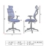 Zeeazyana High Back Ergonomic Chair in Blue Colour