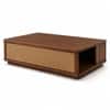 Liora Sheesham Wood and Cane Rectangular Coffee Table in Walnut Finish