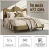 Solara Wave Luxe Queen Size Bed in velvet With Oak wood Frame & Hydraulic Storage