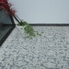 Icy Bloom Carpet 5 X 7