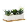 Artificial Faux Plants In A Ceramic Pot With A Wooden Plate