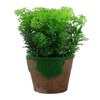 Artificial Fern Indoor Plant With Pot